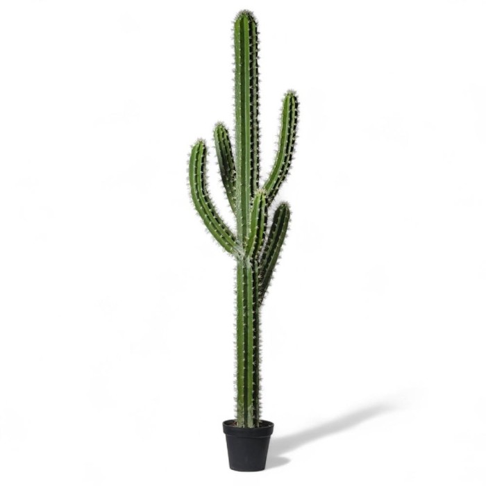 CACTUS 210CM IN VASO BRIGHT GR